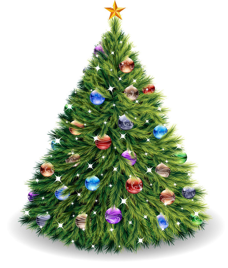 Fayette Central School Giving Tree